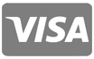 Pago Visa