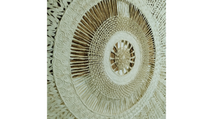Papel de Corteza de Árbol en Cuadro Decorativo - BGP