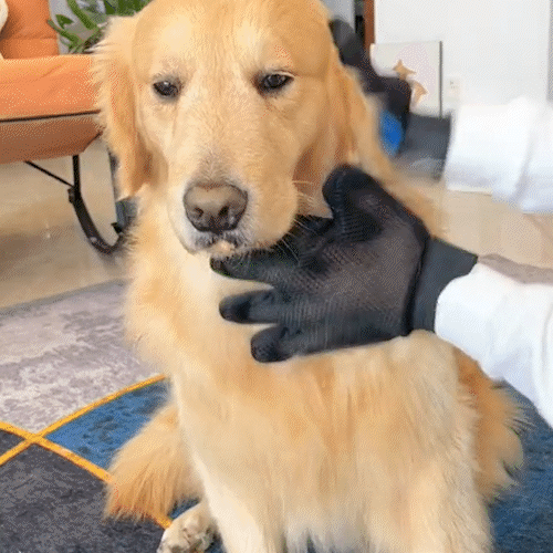 🐶😺 Guante Quita Pelo Para Mascotas - DRO