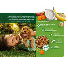 Cargar imagen en el visor de la galería, Alimento Seco para Cachorro Purina Dog Chow Todos los Tamaños Con Extralife 9 kg - ZK