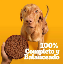 Cargar imagen en el visor de la galería, Alimento Húmedo para Perro Pedigree Sabor Res 24 pzas de 150 g c/u - ZK