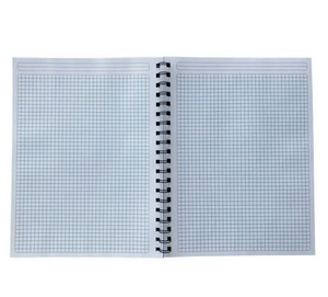Set de Cuadernos Member's Mark Cuadro Chico 5 pzas con 100 Hojas c/u - ZK