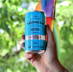 Tehuacán Agua Mineral 24 piezas de 237 ml - KOZ