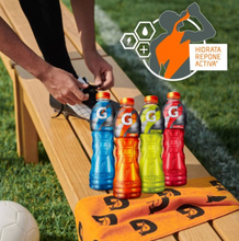 Cargar imagen en el visor de la galería, Bebida Gatorade Sabores Cítricos y Frutales 24 Pack de 600 ml - ZK