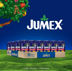 Bebida Jumex con Fruta Sabores Surtidos 24 pzas de 335 ml -ZK