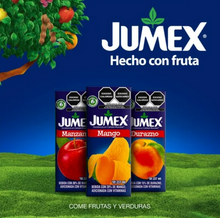 Cargar imagen en el visor de la galería, Bebidas Surtidas JUMEX Surtido 40 pzs de 237 ml - ZK