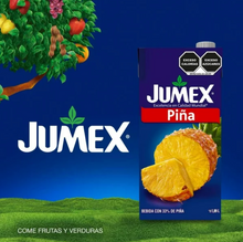Cargar imagen en el visor de la galería, Bebida Jumex con Piña 4 pzs 1.89 l c/u - ZK