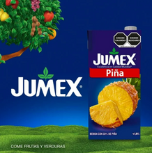 Cargar imagen en el visor de la galería, Bebida Jumex con Piña 4 pzs 1.89 l c/u - ZK