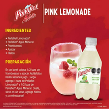 Cargar imagen en el visor de la galería, Agua Mineral con Jugo Peñafiel Adas 24 pzas de 355 ml - ZK