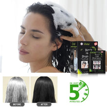 Cargar imagen en el visor de la galería, Shampoo, tinte color negro 10 sobres - BGP