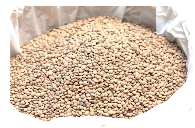 LENTEJA GRANEL 1/25KG