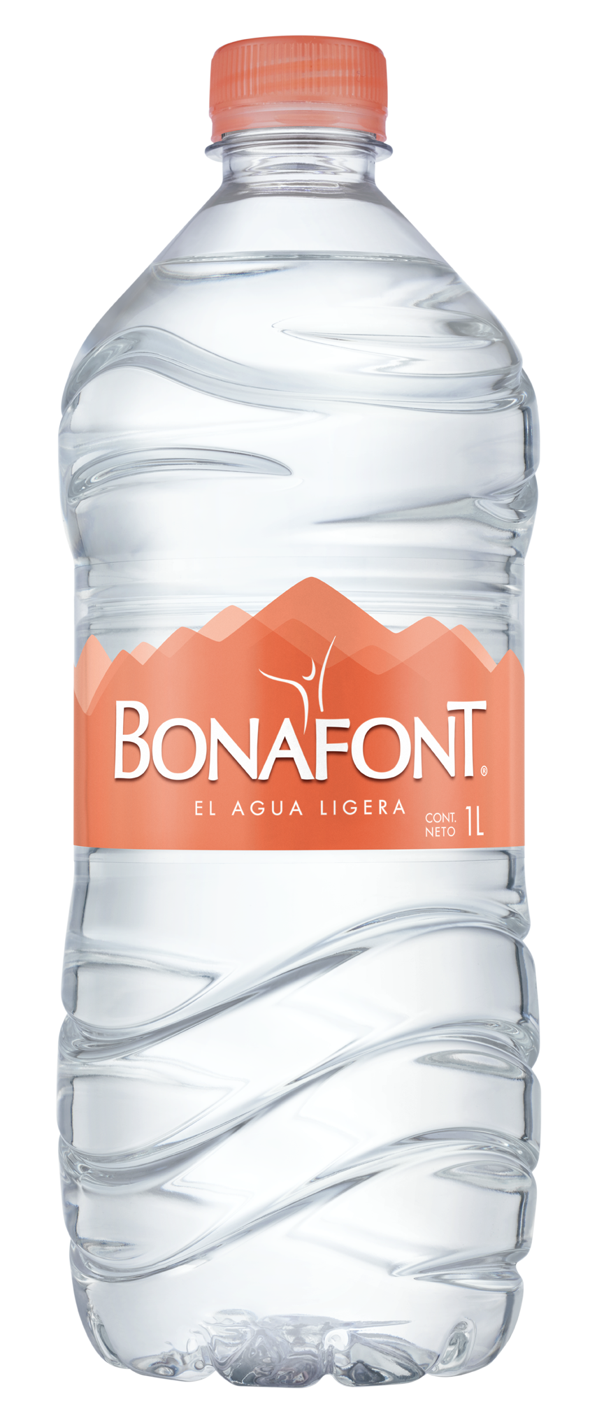 Paquete agua Bonafont 1L/12P