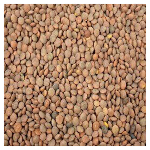 Medio Bulto Lenteja Campo Floral 1K/5P - SCG