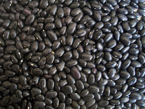 Bulto frijol negro de 25 kilos - Joya-Granos, Semillas y Cereales-Joya-MayoreoTotal