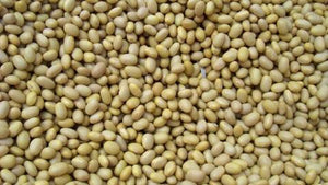 Caja Frijol Peruano de 1 kilo con 10 piezas - Joya-Granos, Semillas y Cereales-Joya-MayoreoTotal
