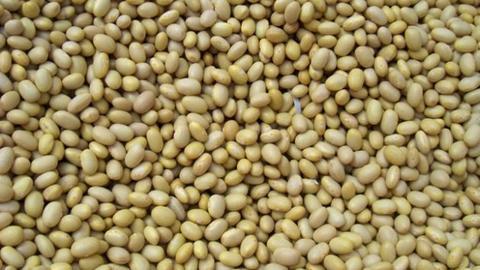 Caja Frijol Peruano de 1 kilo con 10 piezas - Joya-Granos, Semillas y Cereales-Joya-MayoreoTotal